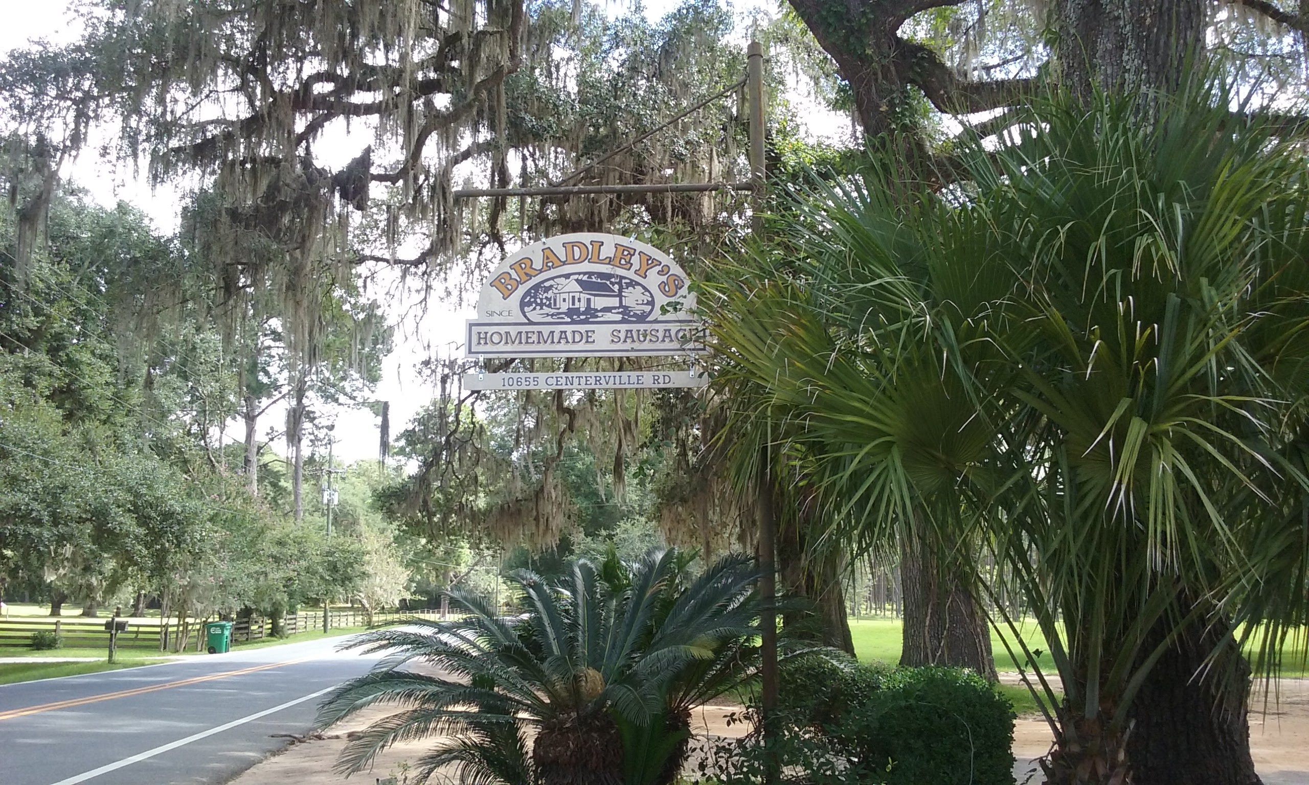 Tallahassee’s Status As Tree City USA -Is It Worth It For Our Green City?