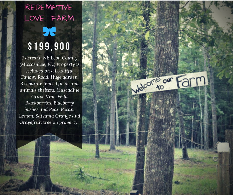 Redemptive Love Farm and Petting Zoo Sets Its Sights On A New Home