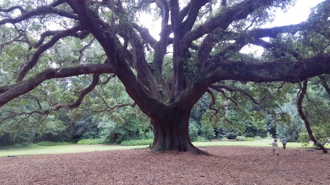 5 Hidden Gems That Are Actually In Or Around Tallahassee