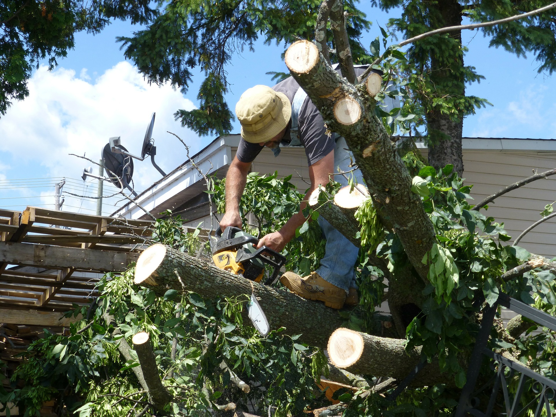 City Of Tallahassee and Leon County Permit Fees Waived After Hurricane Hermine