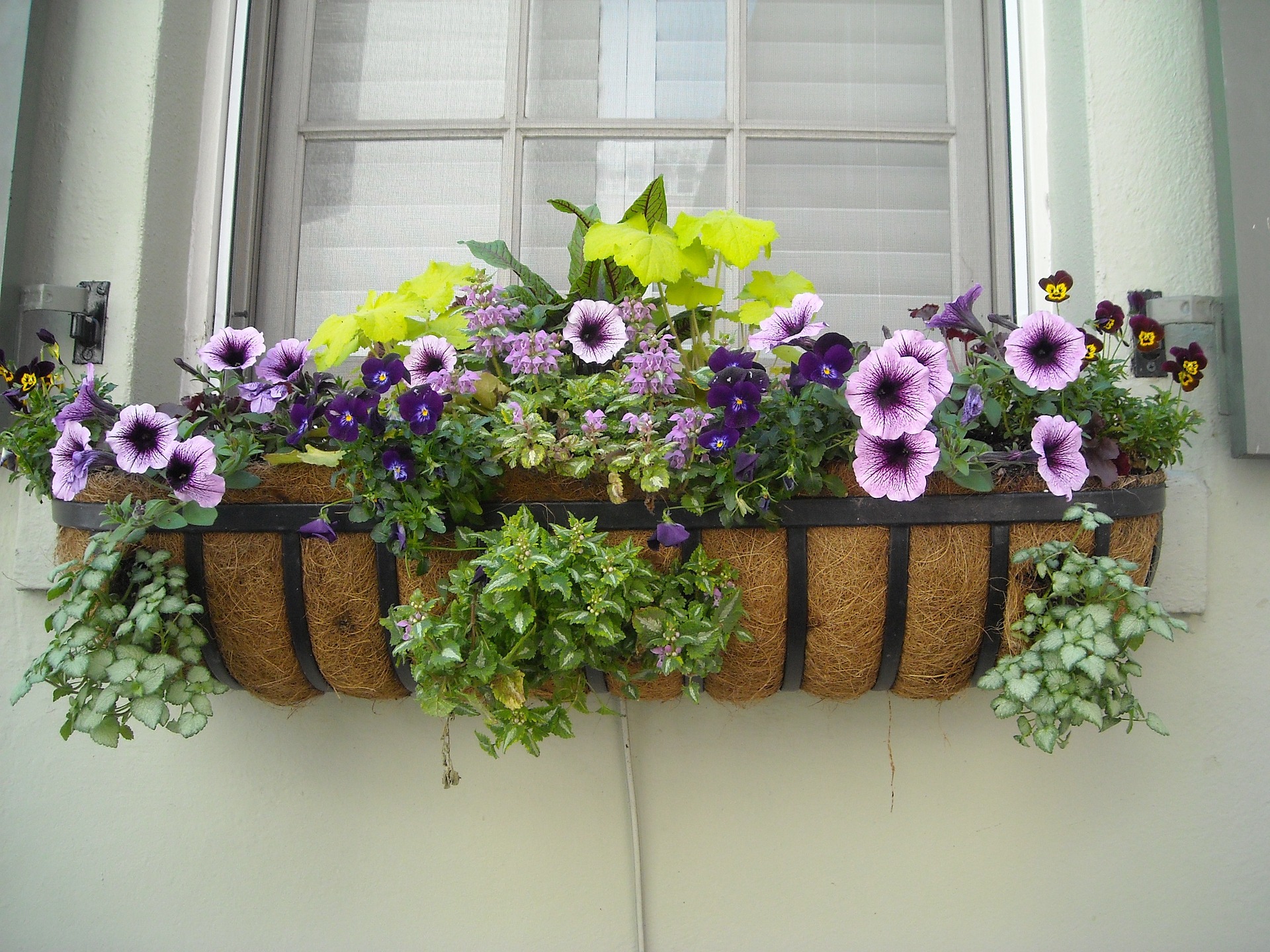 Best DIY Projects To Add Value To Your Home