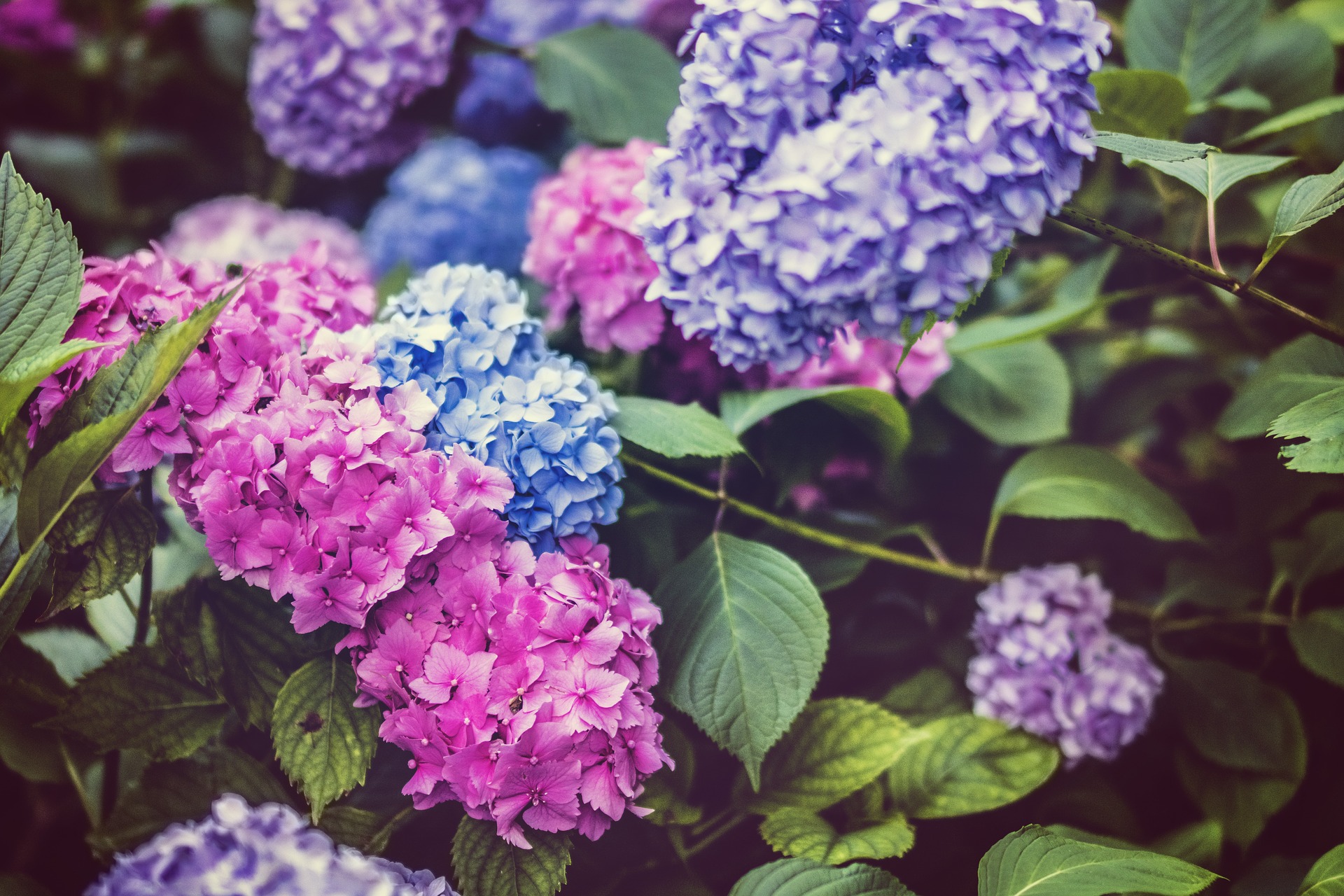 Pantone’s Color Of The Year: 2018